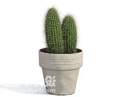 Indoor Cactus Potted Plant Decorating 3d model Indoor Cactus Potted Plant Decorating 3d model