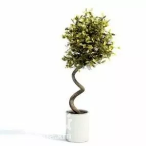 Indoor Bonsai Potted Plant Decorating 3d model