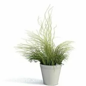 Indoor Grass In Potted Plant 3d model
