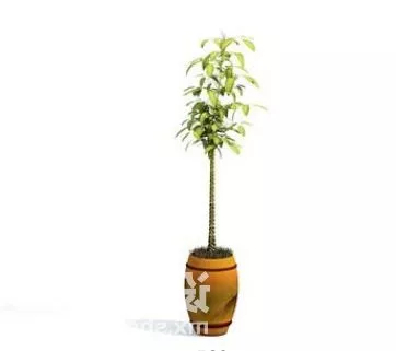 Tall Potted Plant 3d model