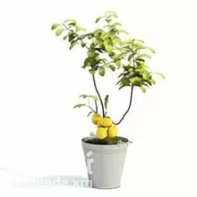 Indoor Potted Plant Home Decorating 3d model
