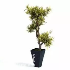 Indoor Bonsai Potted Plant Home Decorating 3d model