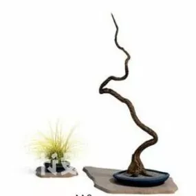 Minimalist Japanese Bonsai Plant 3d model