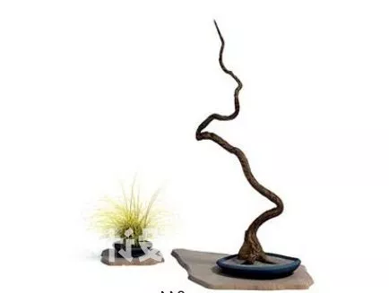 Vase With Dead-wood 3d model