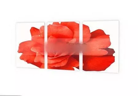 Decorative Flower In Bottle 3d model