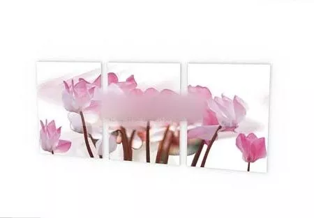 Pink Tiger Lily Flower 3d model