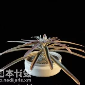 Long Leaf Flower Pot 3d model