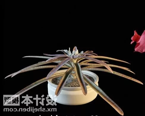 Long Leaf Flower Pot 3d model Long Leaf Flower Pot 3d model