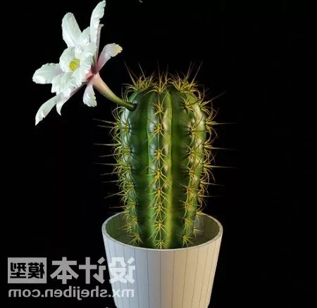 Plants From Another World 3d model