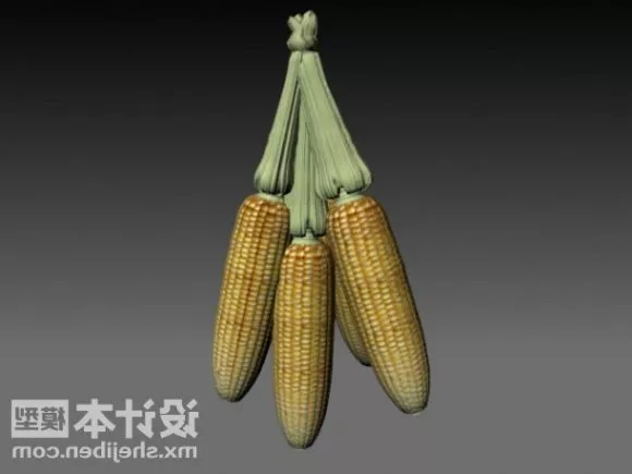 Corn Food 3d model Corn Food 3d model