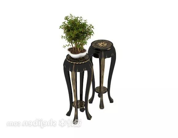 Plants Cactus Flower 3d model