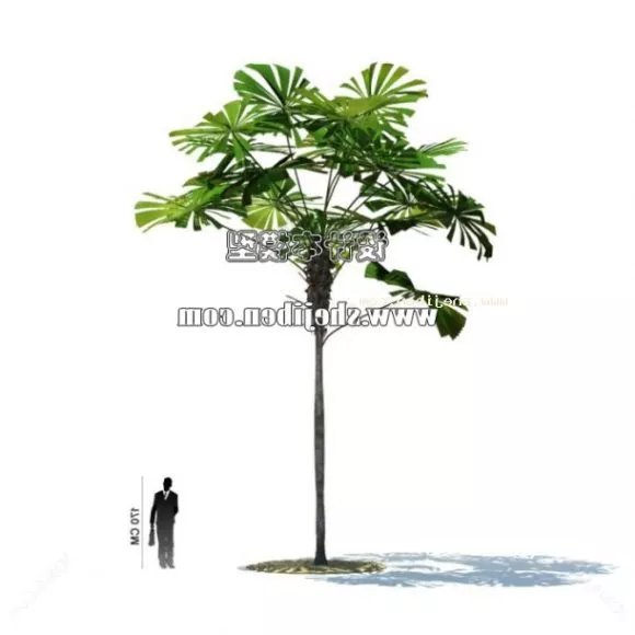 Plants in Pots 3d model
