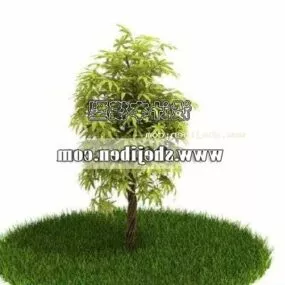 Realistic Outdoor Small Tree 3d model