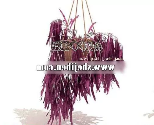 Algae 3d model