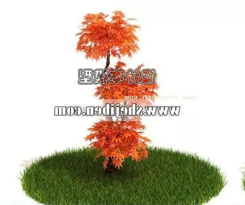Palm Yucca Plant 3d model