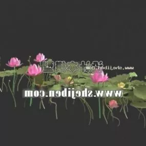 Lotus Flower Plant 3d model