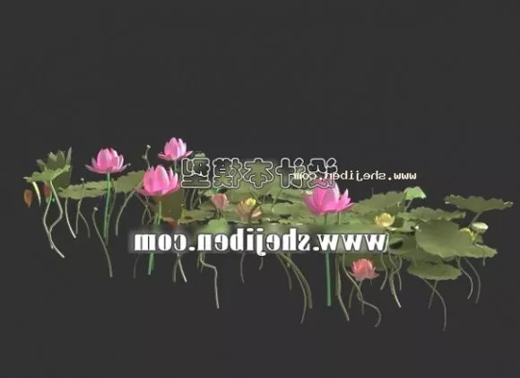 American Ash Tree 3d model