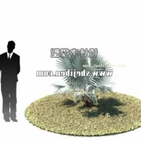 Garden White Palm Tree 3d model