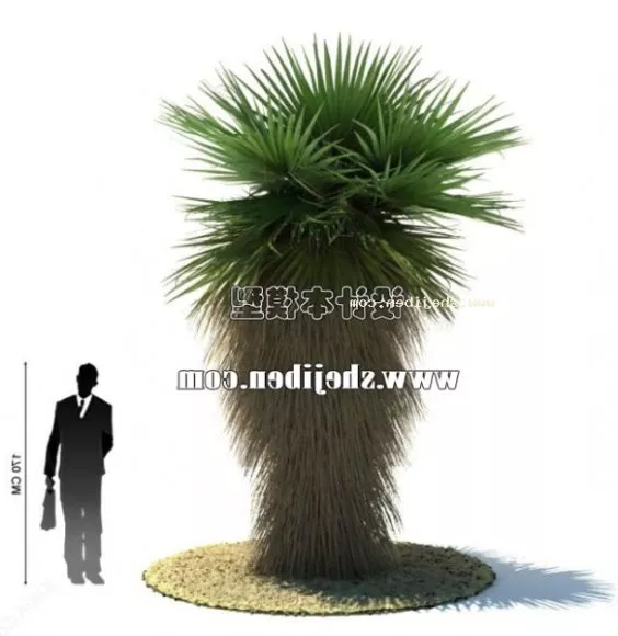 Spring 3d model