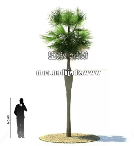 Nature Wheat 3d model