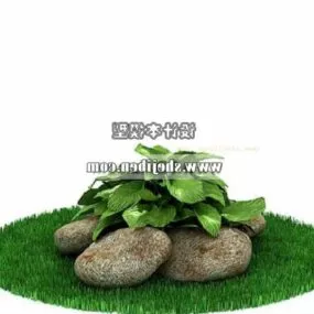Decoration Plant With Rock 3d model