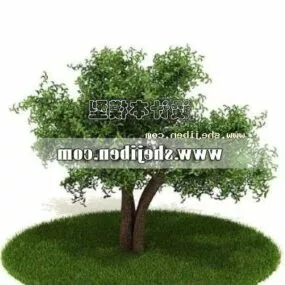 Garden Green Plant Tree 3d model