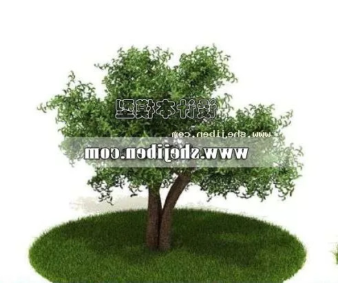 Various Low Plants 3d model