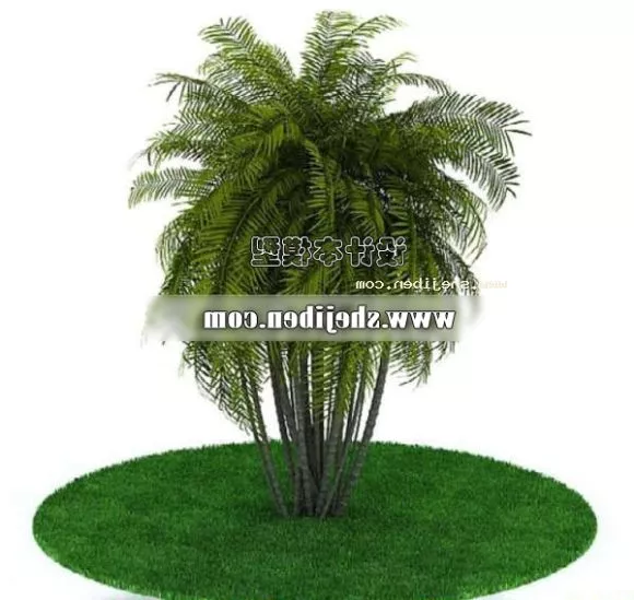 Маленькая пальма на открытом воздухе Бесплатная 3d модель - .MaИкс ...