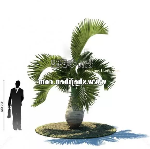 Tall Potted Plant 3d model