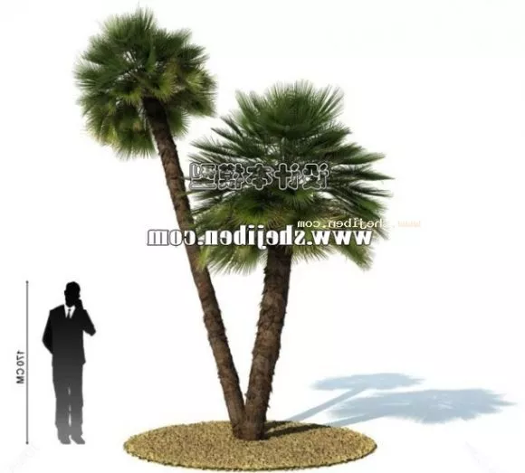 Single Small Broadleaf Tree 3d model