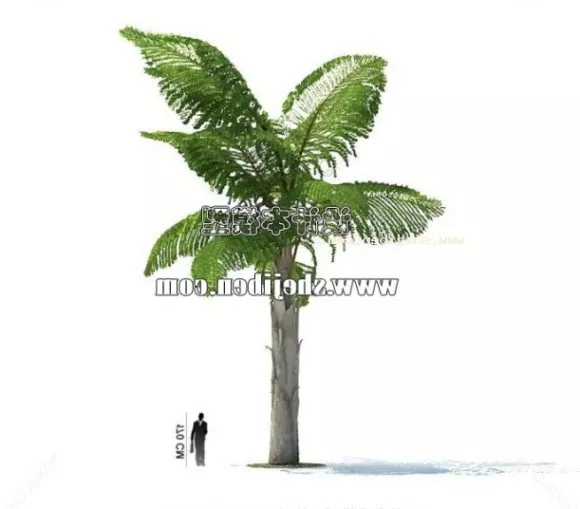 Large Indoor Potted Plant 3d model