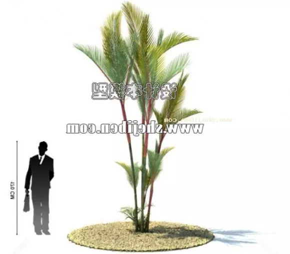 Old Anime Tree 3d model