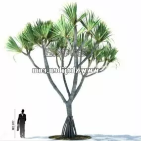 Sabal Palm Tree V1 3d model