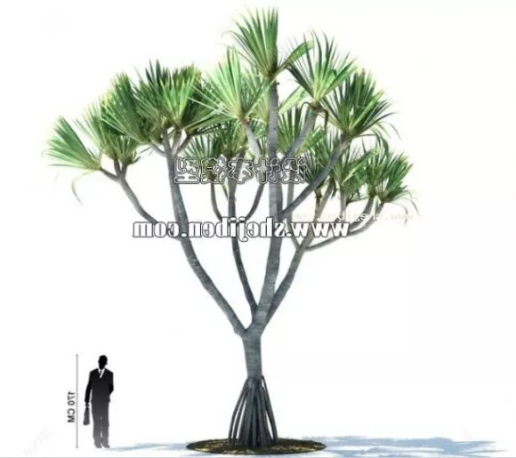Coconut Palm Tree Forest 3d model