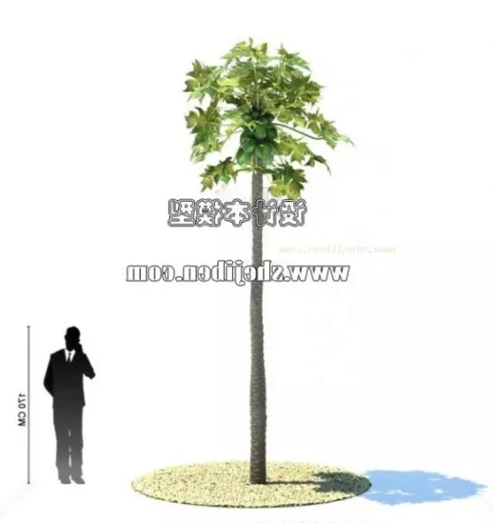 Beautiful Cartoon Tree 3d model