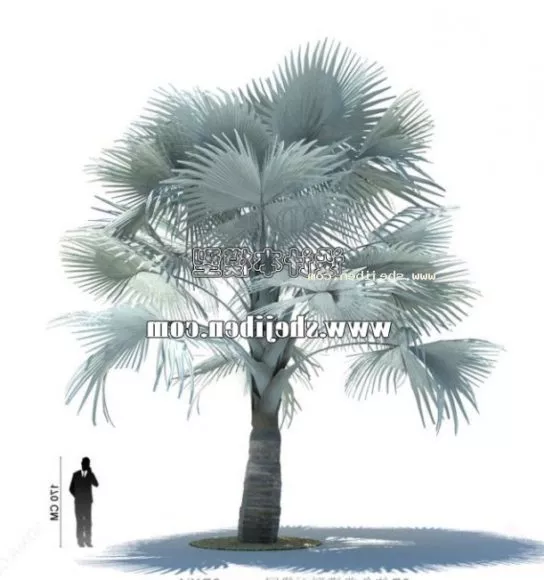Jungle Dragon Tree 3d model