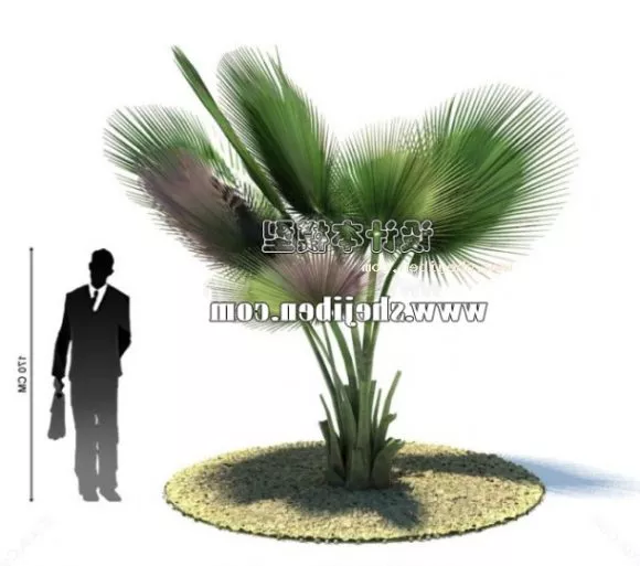 Spring 3d model