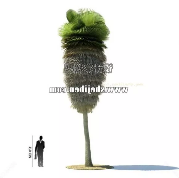 Small Banana Tree 3d model