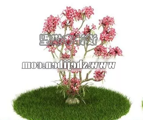 Old Willow Tree 3d model