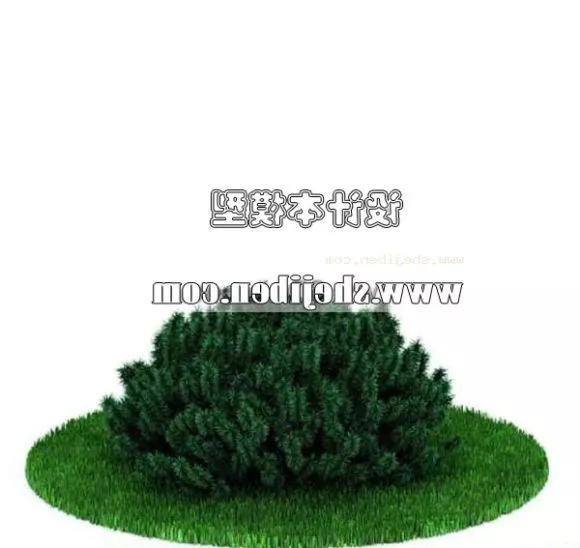 Broadleaf Palm Tree 3d model