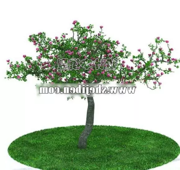 Plant 2 3d model