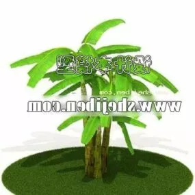 Banana Outdoor Plant 3d model