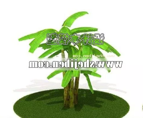 Large Indoor Potted Plant 3d model