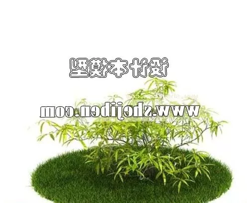 Tall Potted Plant 3d model