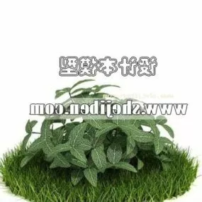 Outdoor Garden Low Bushes Plant 3d model
