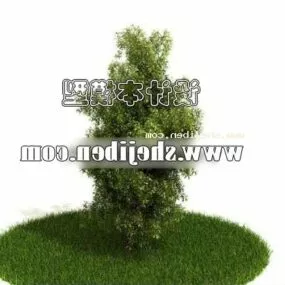 Outdoor Small Hedge Plant 3d model