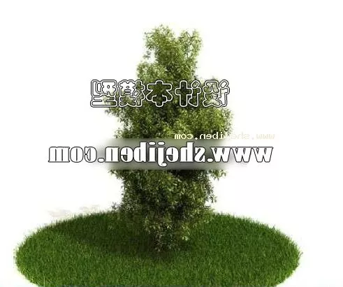 Outdoor Small Hedge Plant 3d model Outdoor Small Hedge Plant 3d model