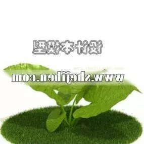 Outdoor Big Leaf Plant V1 3d model