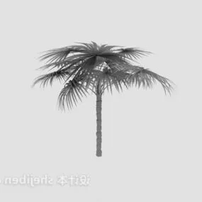 Green Coconut Tree Lowpoly 3d model
