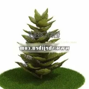 Small Aloe Vera Tree 3d model